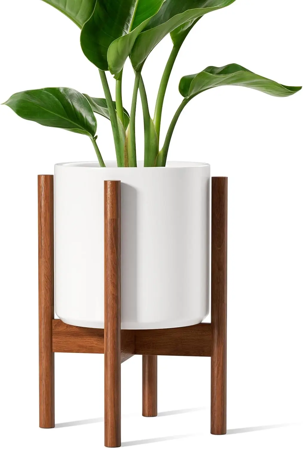 Snake Plant Ceramic - 12 İnç Beyaz Yükseltilmiş Seramik Saksı,