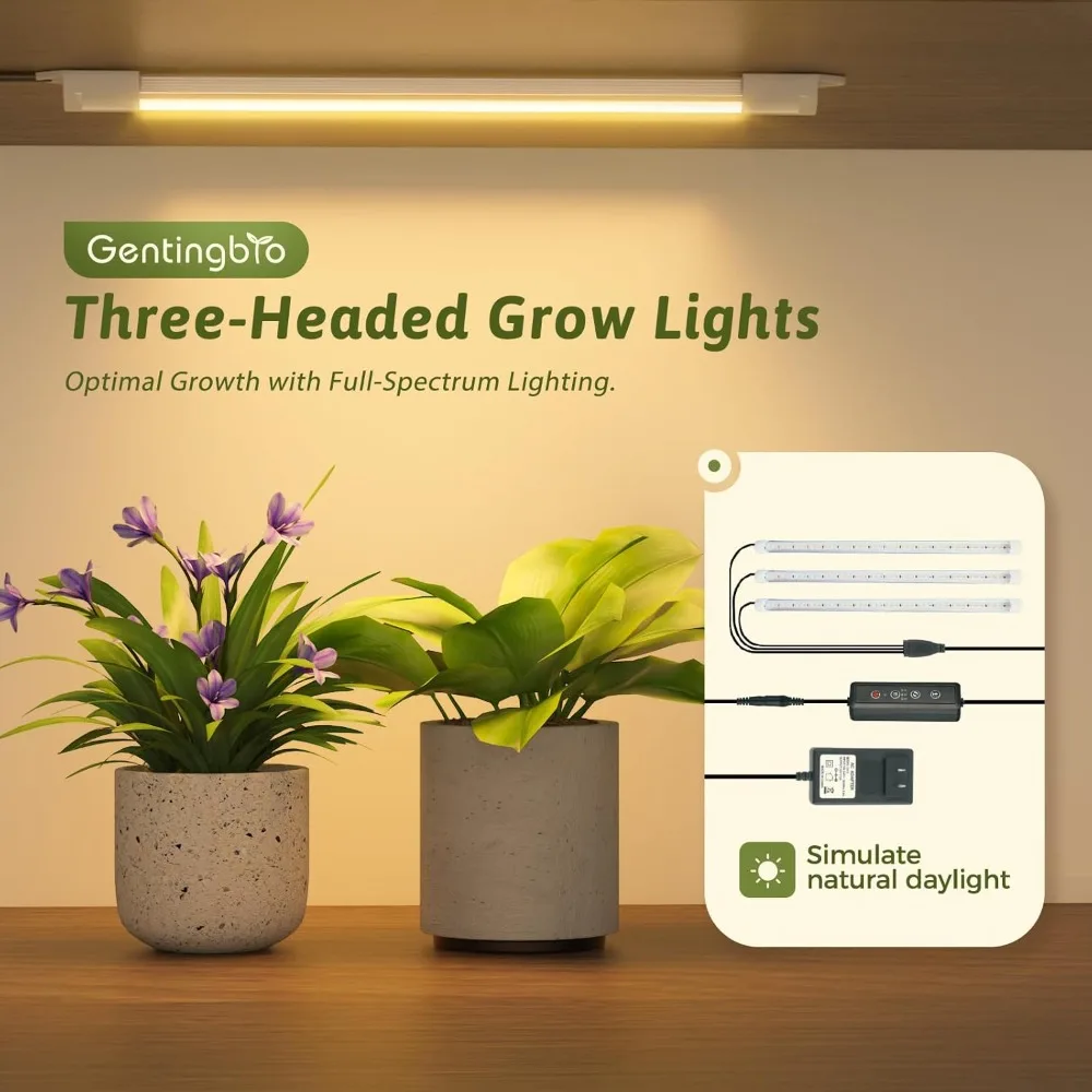 أضواء تنمو للنباتات الداخلية بطول 62.2 بوصة و12 طبقات للعرض وأرفف النباتات