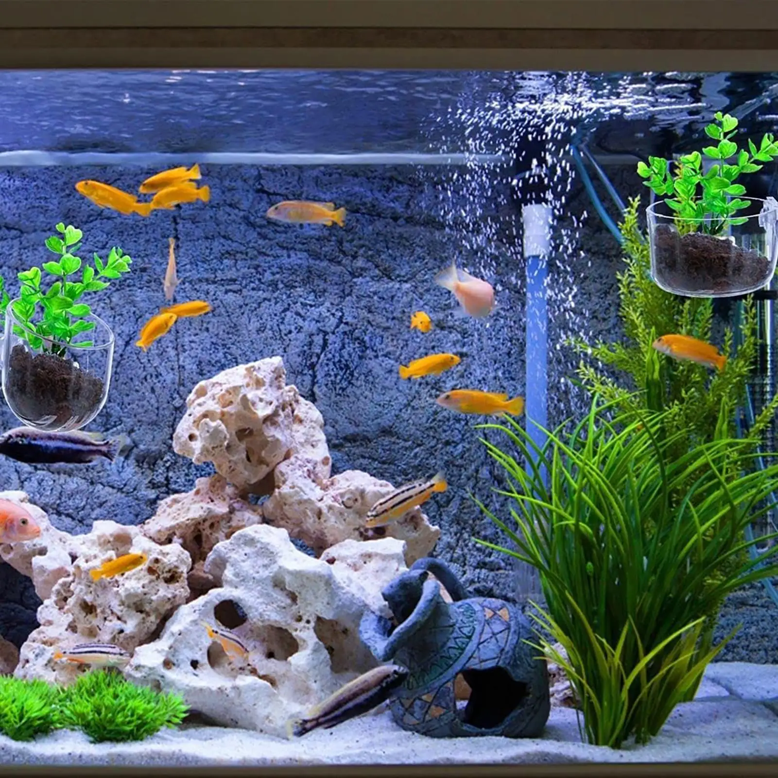 Aquatic Plant Pot Clear Acrylic Aquarium Planter with Suction Cup Fish Tank Ornaments for Cultivation Hydroponics Propagation - view 3