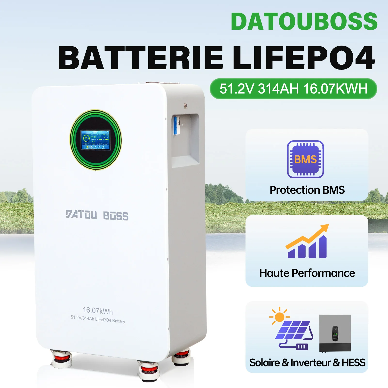 Batterie LiFePO4 DATOUBOSS 51,2V 314Ah 16,07kWh avec protection BMS, stockage d'énergie solaire pour onduleur hybride hors réseau, Powerwall