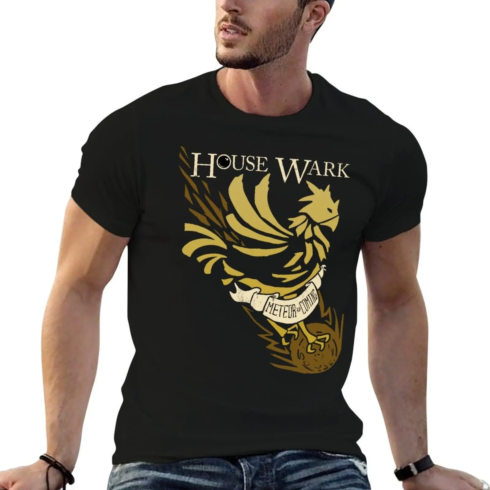Meteor is Coming T-Shirt new edition topping oversized t shirt men