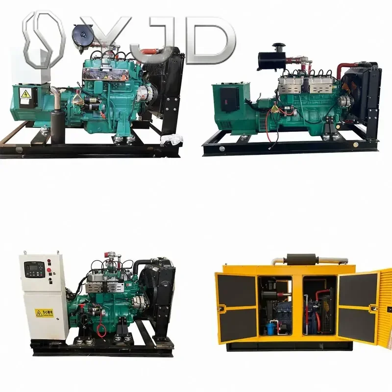 Junwei 25KVA Compressed Natural Generator with IMPCO Air Fuel Mixer 24V DC Electric Start Water Cooled Made in China