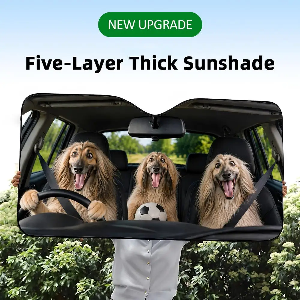 A five-layer thick car windshield sunshade with a funny graphic print of Afghan Hound dogs throwing a soccer party.