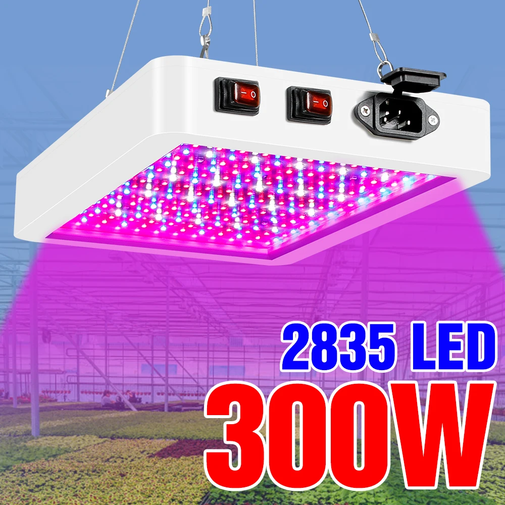 

Grow Light LED 300W 500W Phytolamp Full Spectrum Plant Lamp Quantum Board Greenhouse Plant Bulb For Seedlings Grow Tent Growing