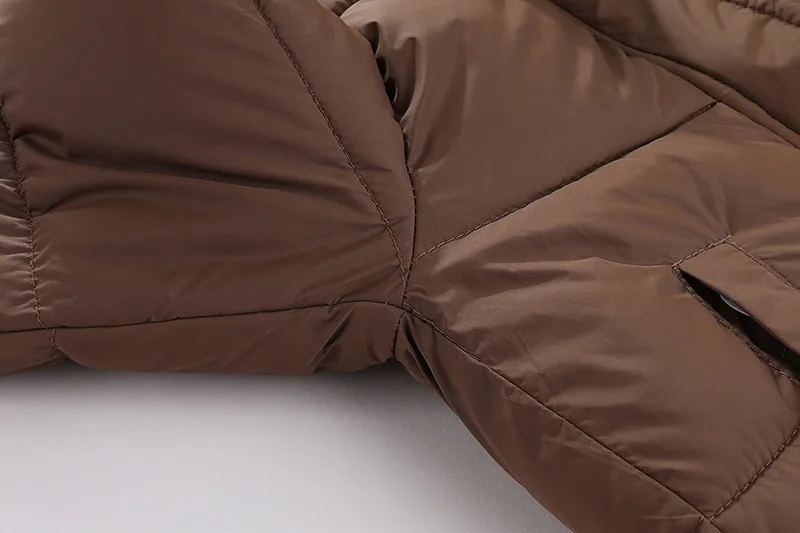 1-8 Jahre Kinder Daunenjacke Herbst Winter Baby Jungen Mädchen Einfarbig Bärenohren Lammwollfutter Dicke Kapuzenjacke – Detail 13