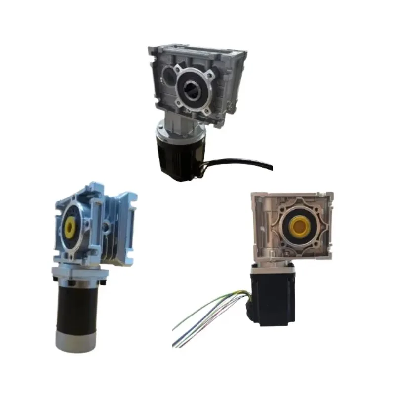 High Torque 48V Brushless W-orm DC G-ear Motor, 500W-2000W, RV Self-locking Reducer for A-GV and Mo-wer
