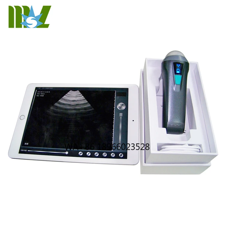 

MSLPU36 Vet Wireless Sector Probe Ultrasound Scanner