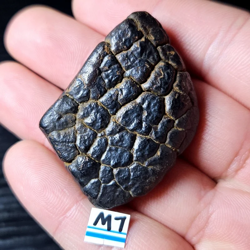 

Rare natural iron meteorite mineral specimen Gobi Beach Stone energy magnetic field healing holiday gift