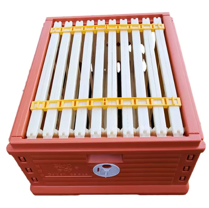 Beekeeping Langstroth Beehive 3 Layer 10 Frame Beehive Thermal Plastic Bee Hive view 4