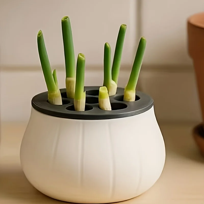 1pc 3D-printed Green Onion Regenerative Farm Seedling Tray, Suitable for Hydroponics - Indoor Kitchen - Home Gardening