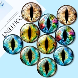 인형 눈 홍채 유리 사진 카보숑, 원형 사진 유리 데모, 플랫 백 제작 결과, 10 개, 12mm, 16mm, 18mm, 25mm, 30mm