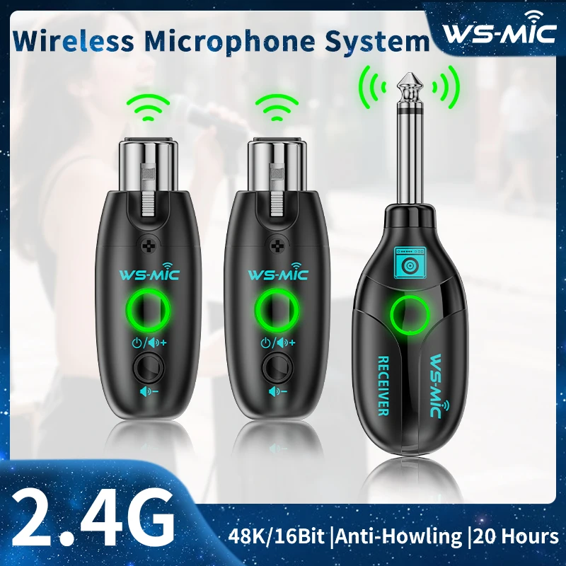 Wireless Microphone Transceiver Microphone Transmitter and Receiver System 2 to 1 for Stage Performance Conference Presentation