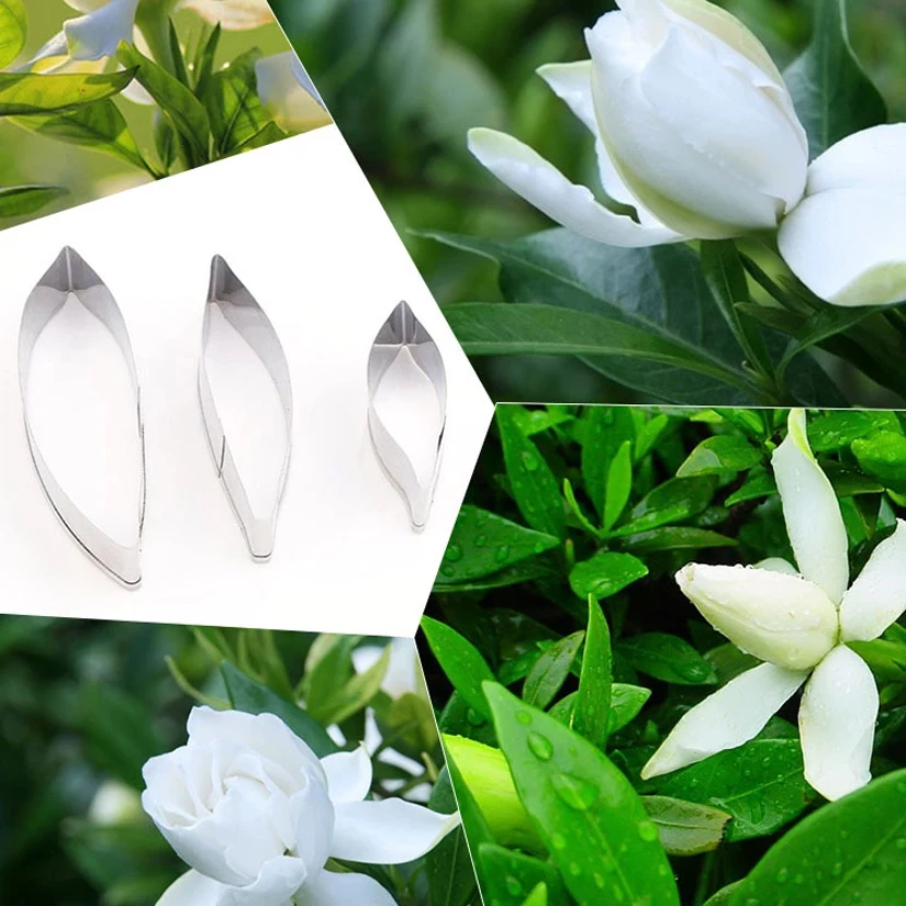 3 pcs/set Gardenia Petals Leaves Cutter Sets Stainless Steel Cookie Fondant Cake Decorating Tools