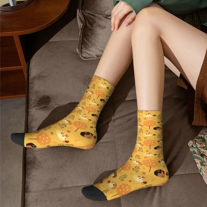 Chaussettes d'équipage de overd'Inde pour hommes et femmes, chaussettes provoqué unisexes mignonnes, impression d'animal 3D, automne