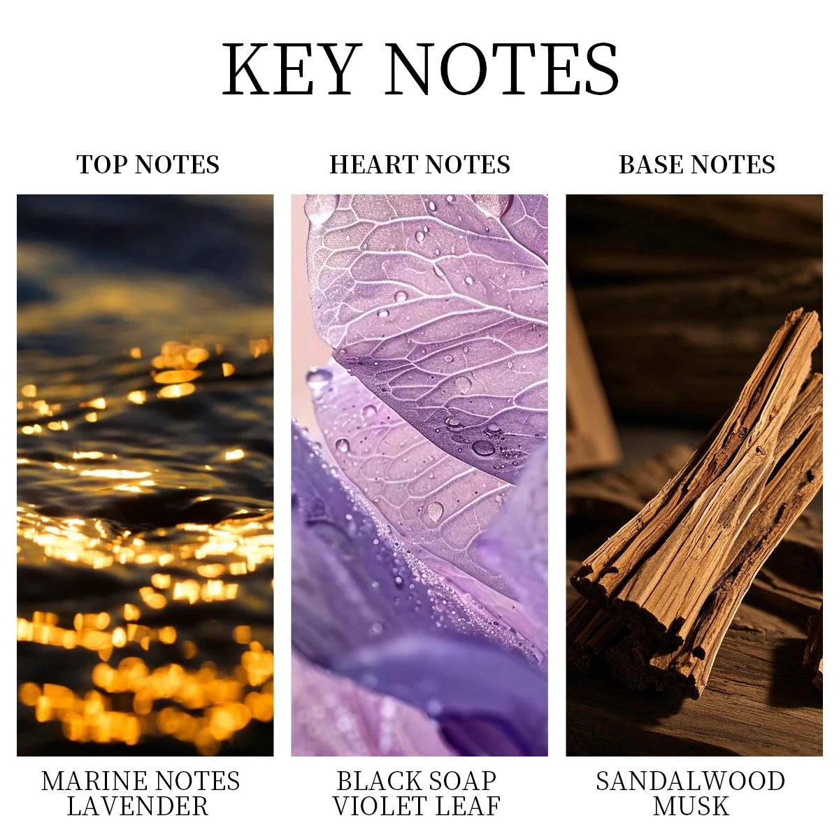 مرحاض LASTAR للرجال، 50 مل/1.7 أونصة سائلة، مسك، عطر يدوم طويلاً، جو التاريخ، هدايا عيد الميلاد/العام الجديد #3