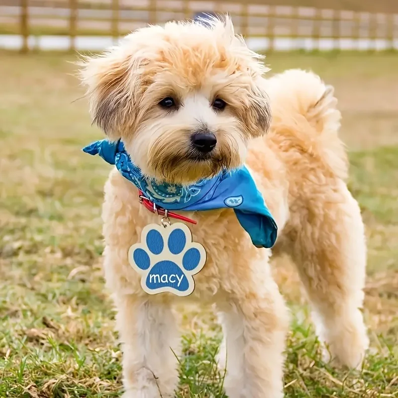 

10 шт., нарисованные вручную деревянные украшения с принтом лап, универсальный праздничный декор, сделай сам, под покраску, украшения для праздничных вечеринок, подарочные бирки