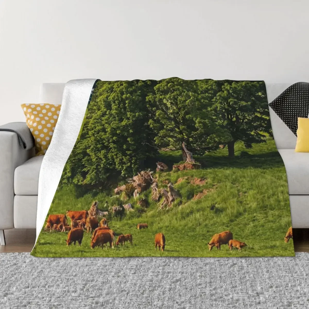 

English Country Farming Scene Throw Blanket Kid'S anime Beach Bed covers Blankets