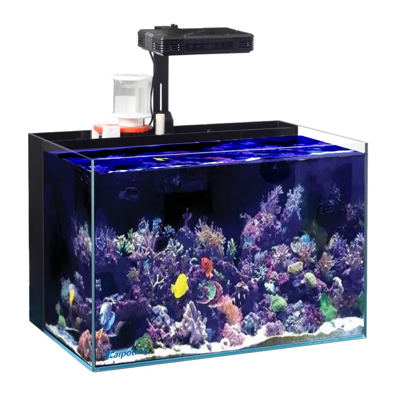 Glass Fish Tank Aquarium Back Filters With Skimmer And LED Marine Tank Table Top Saltwater Aquarium Fish Tank