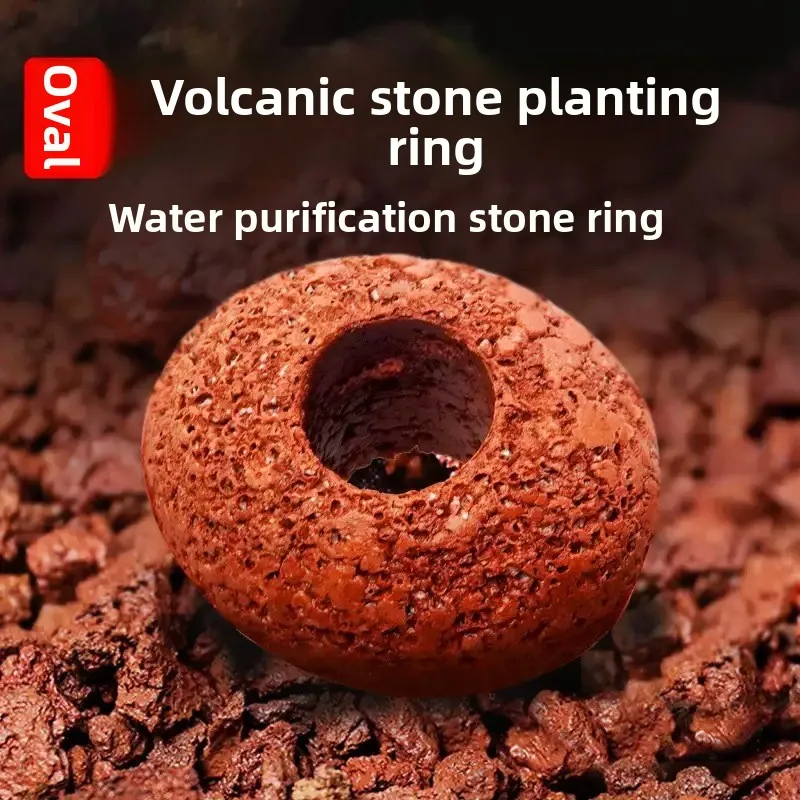 Aquarium Volcanic Rock Fish Tank  Planting Ring Aquatic Plant Care Fish Tank Supplies Supplies Accessories Freshwater Tropical