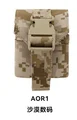 AOR1 CT