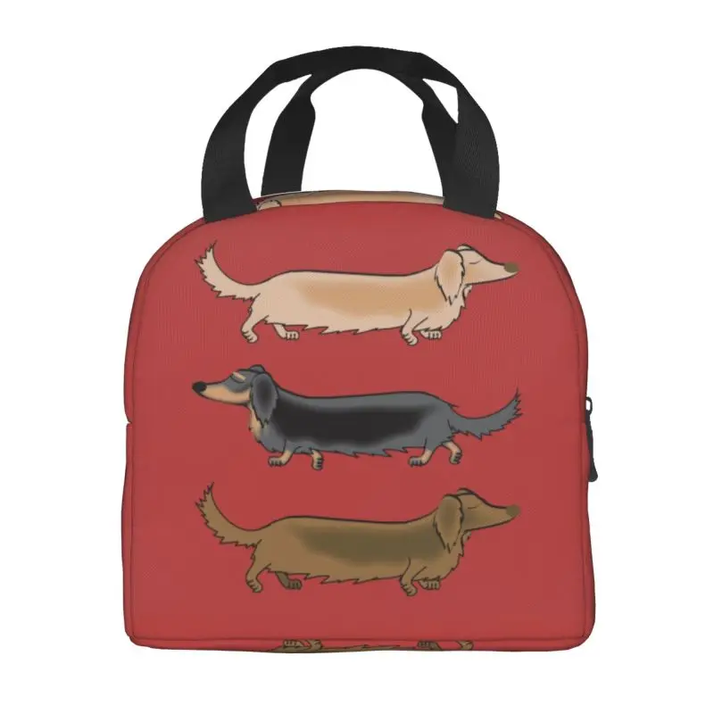 Kawaii Dachshund Dogs Insulated Lunch Tote Bag for Women Wiener Sausage Dog Portable Cooler Thermal Bento Box Work School Travel