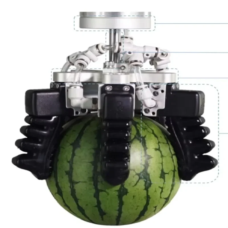 

Soft Touch Robot Gripper with Collaborative Manipulator