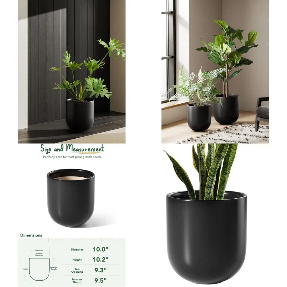 

10 Inch Ceramic Plant Pot with Drainage for Indoor Olive Trees, Home & Office Use, Black