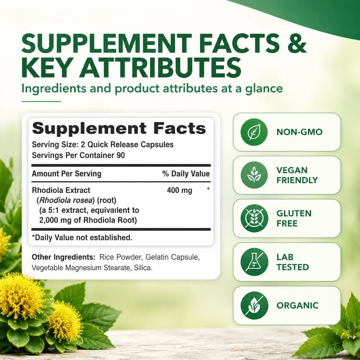 Rhodiola Rosea Capsules 2000mg Adaptogen for Stress, Fatigue, Energy, Focus, Mood & Mental Clarity Support Non-GMO 180 Capsules
