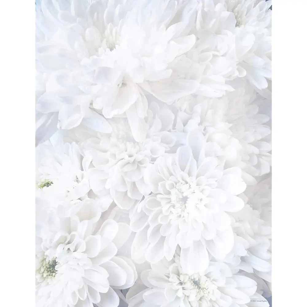 

Бумага для писем White Soft Petals, 8,5 x 11 дюймов, 80 листов, совместима с струйными и лазерными принтерами (2020144)