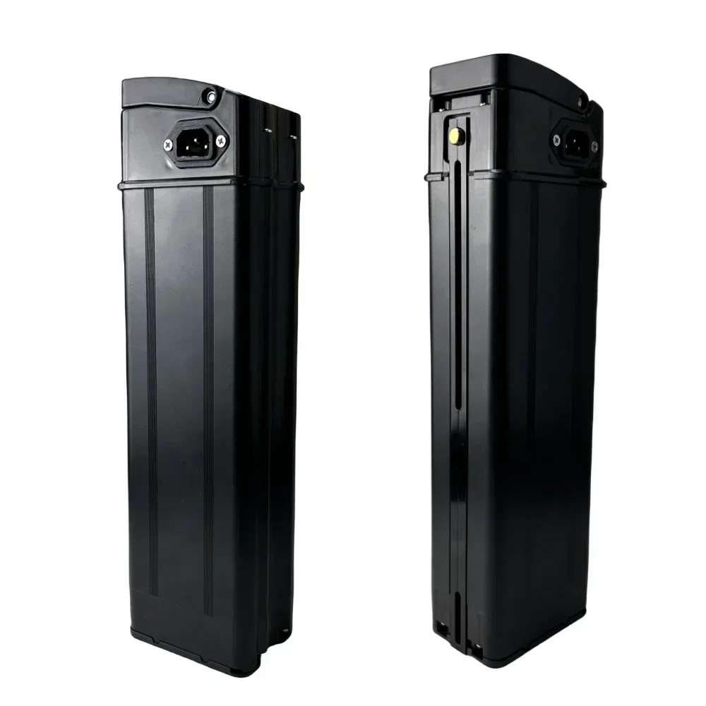 48V 20Ah 10Ah Lithium-Ion Battery Pack Suitable for Silver Fish Rechargeable Battery Built in BMS system No memory effect