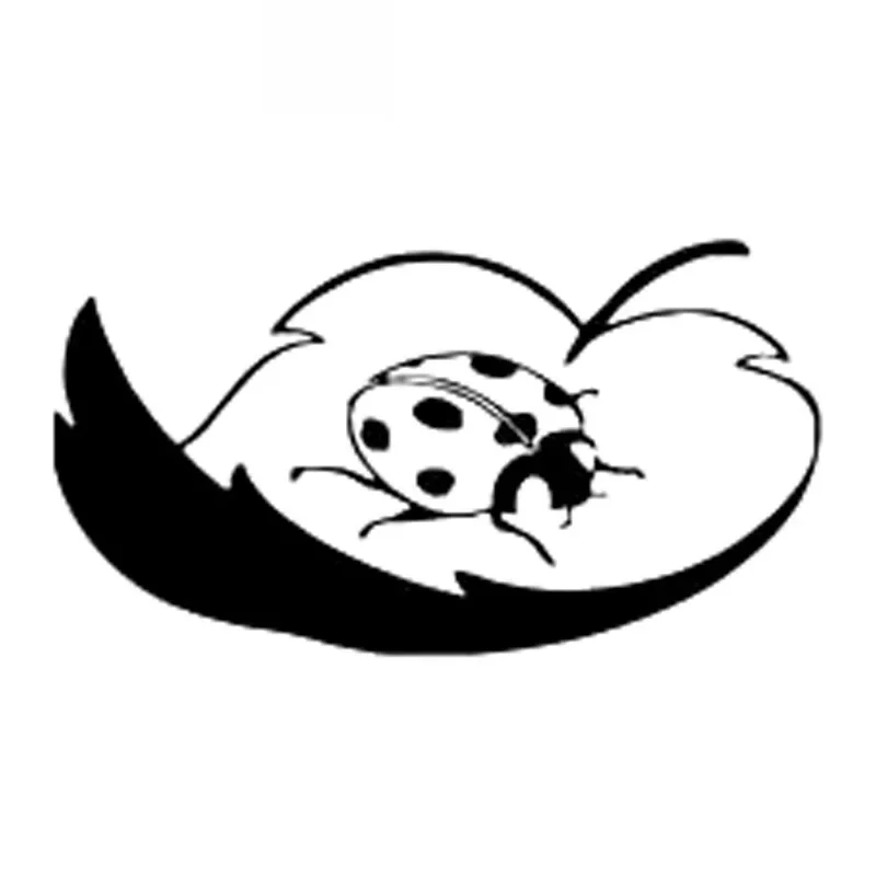 

Ladybug on Leaf High Quality Fashion Car Decoration Personality Pvc Waterproof Car Window Applique Black/white, 15cm * 8cm