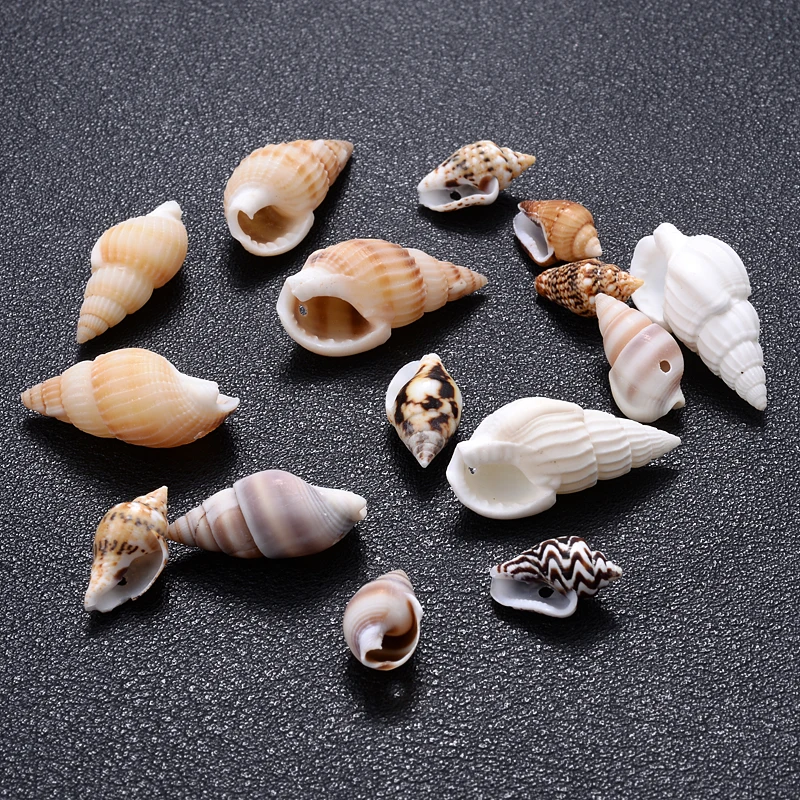 20/30g Natural With Holes Shell Bead  White Conch Loose Spacer Bead For Jewelry Making  Handmade Bracelet Necklace Accessories