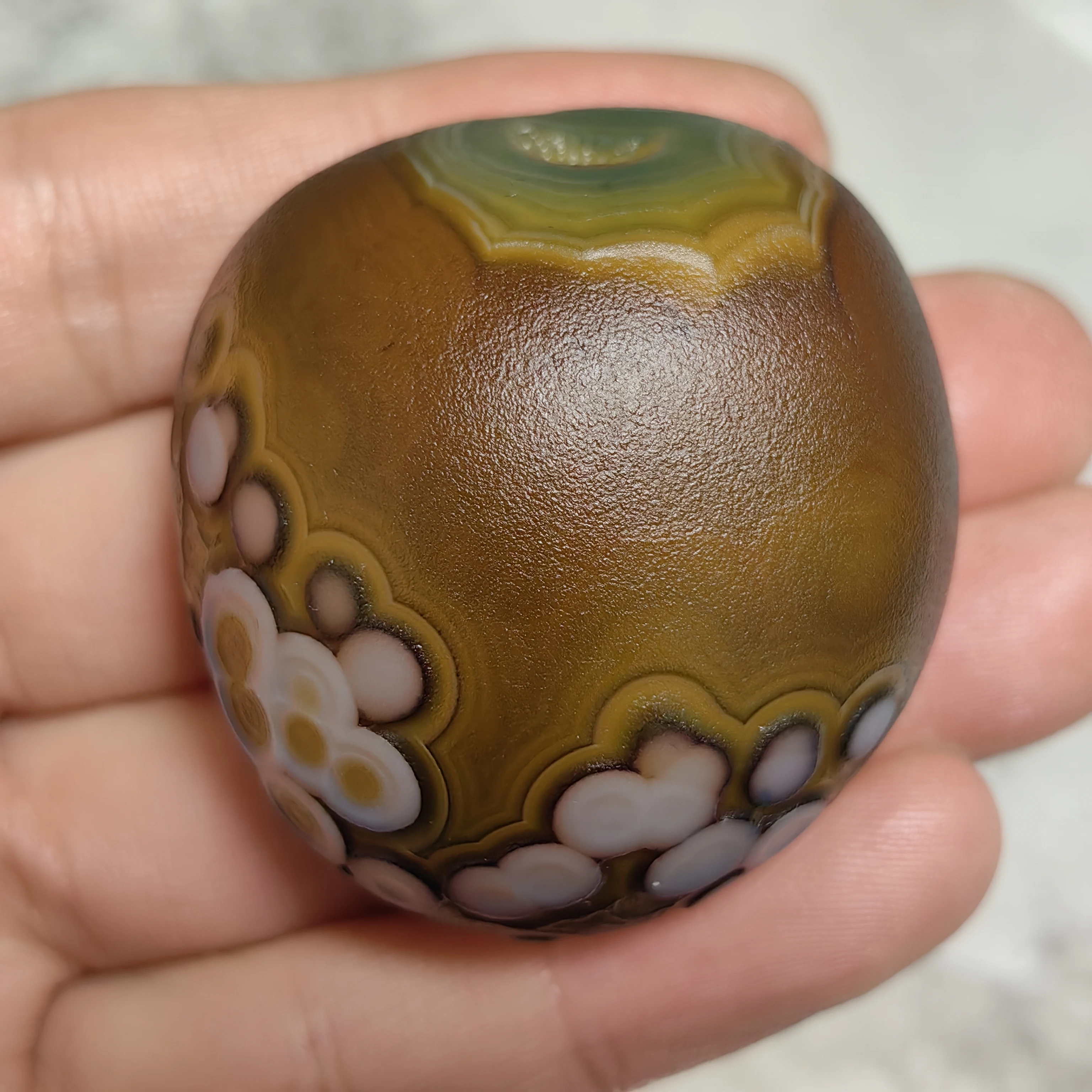 All-Natura Divine E…