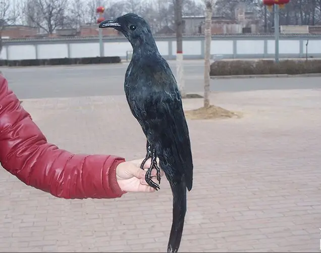 

Новая модель вороны из пенопласта и перьев, настоящие перья, украшение птицы, реквизит для Хэллоуина, косплея, представлений, сцены, подарок d0237