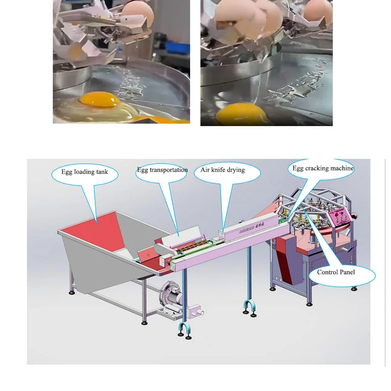 High Quality Egg Beater Separator Egg Shell and Egg Yolk Cracking Separating Machine