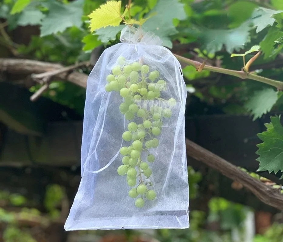 50/100PCS Grapes Garden Mesh Bags Fruit Protection Bags Agricultural Orchard Pest Control Anti-Bird Netting Vegetable Jardim