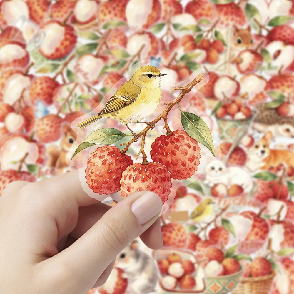 50 Pcs Watercolor Hand Painted Lychee Stickers Transparent PET Waterproof DIY Decals for Journal Phone Fridge Car Gift