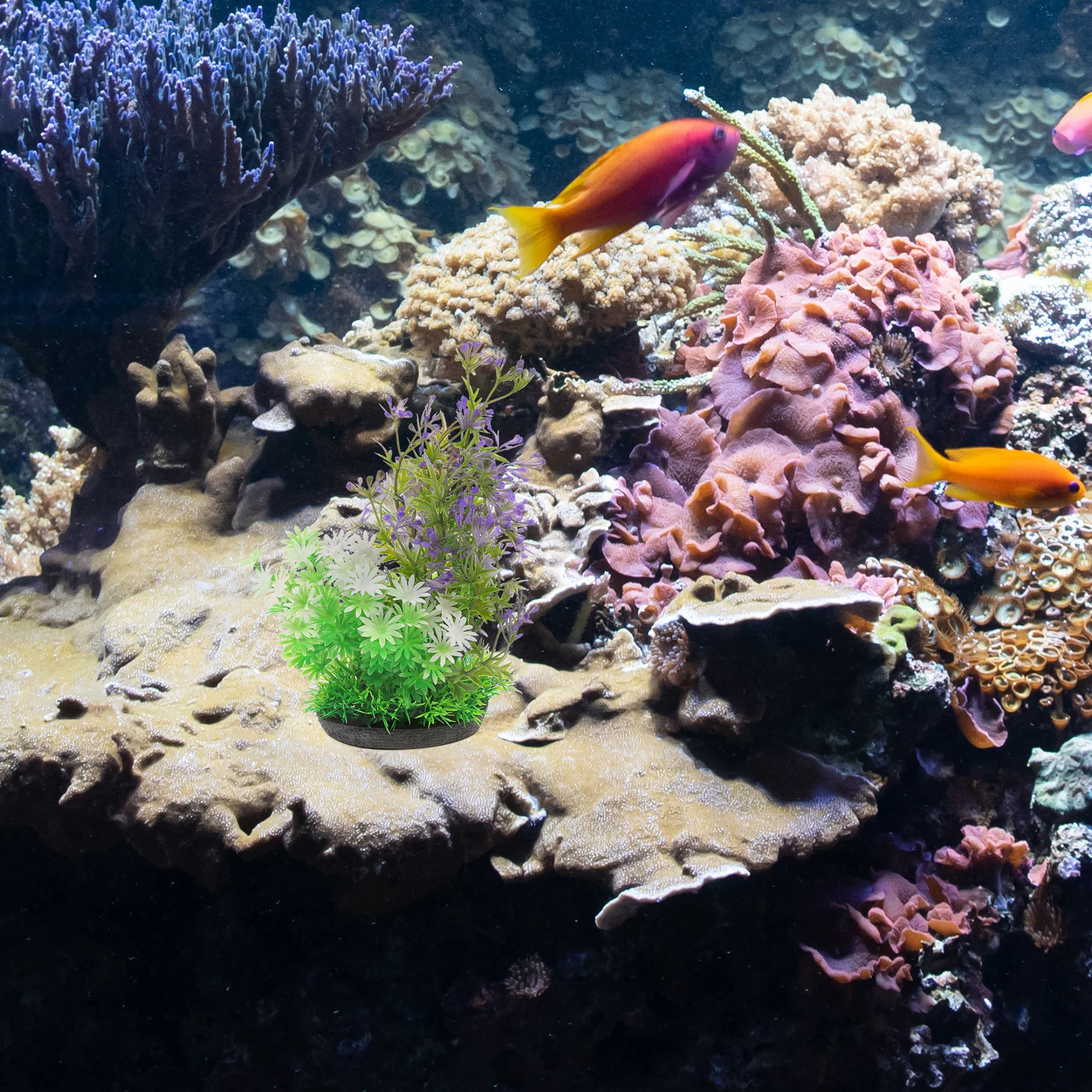 

2Pcs Realistic Aquarium Plants Fake Fish Tank Decoration Durable Safe Plastic Underwater Landscape Accessory Fish Tank Plant