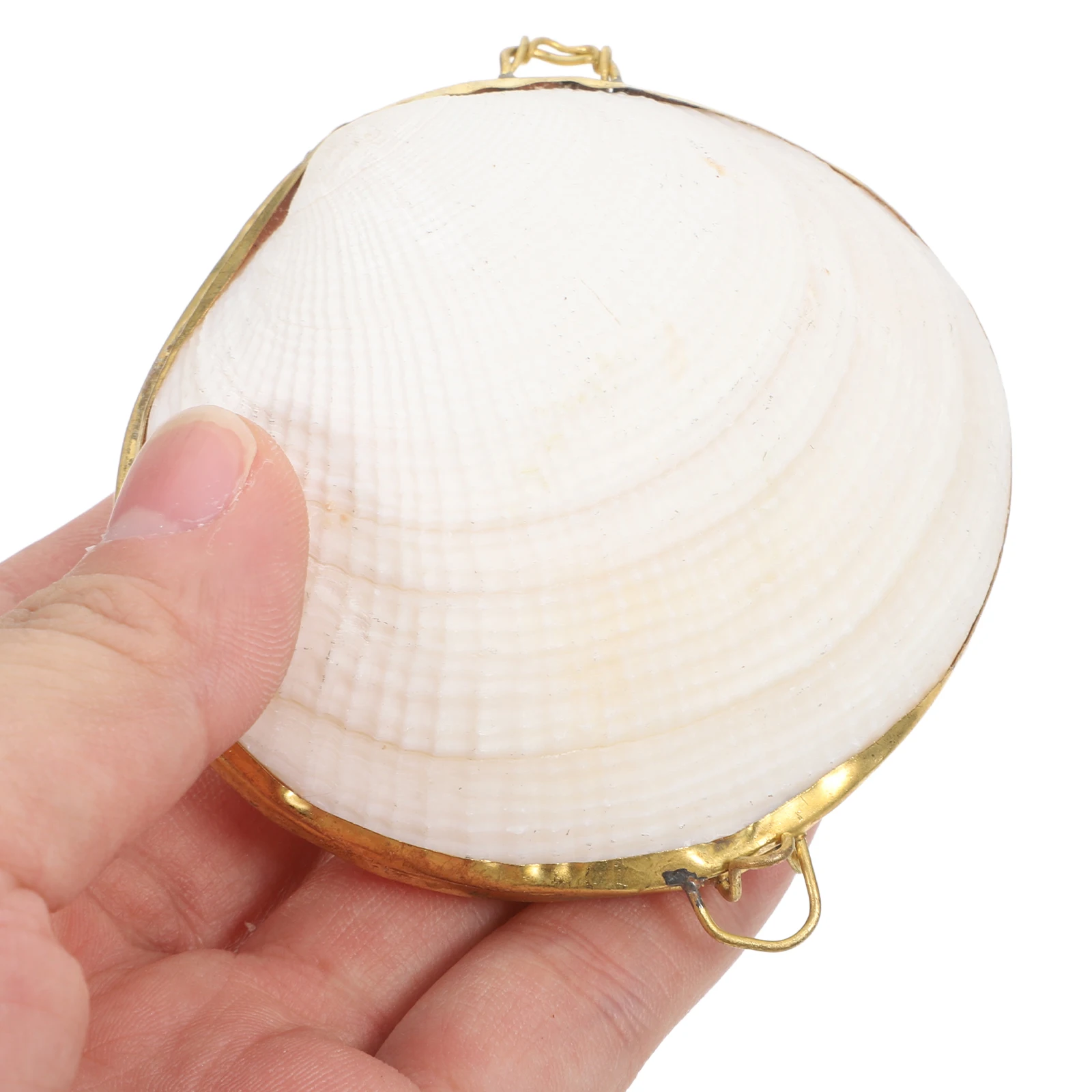 Shell Schmuck Fall Schmuck Lagerung Fall Schmuck Lagerung Container Schmuck Lagerung Box Ohrring Box