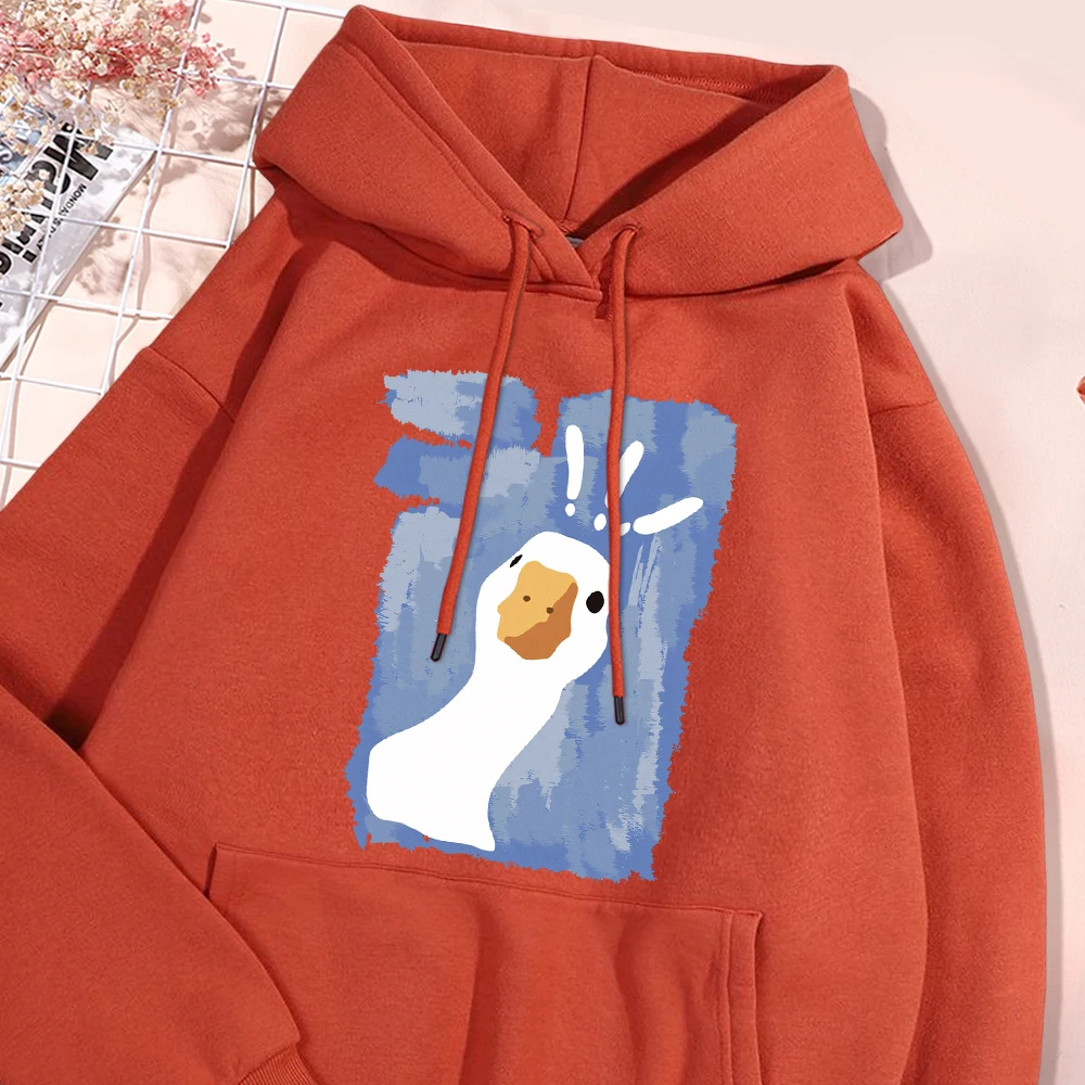 Graffiti-Art Confused Duck Printed Men Hoodie Fashion Big Size Hoody Loose Casual Hoody Korean S-Xxl Female Clothing view 2