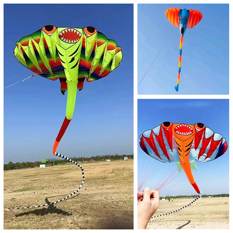 Free Shipping flying fish kites inflatable kites toys fun outdoor game kiteboarding kite surfing full set wind kites power kite