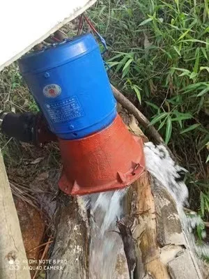 

Electric Water Turbine 5KW 10KW 8KW Hydroelectric Generator 220V 240V Alternative Power Energy Generator Lighting Charging