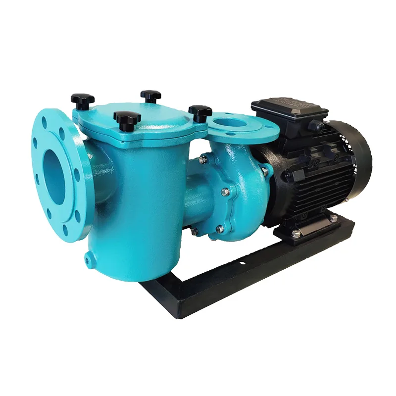 Factory Supply Swimming Pool Pump And Filter System Pumps For Swimming Pool