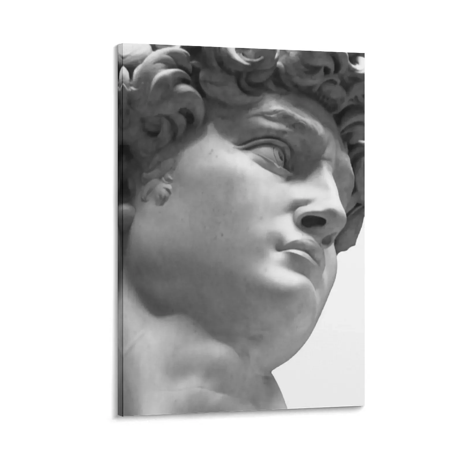 

David Statue, Aesthetic Room Decor, David, Rome statue, Greek mythology art, Bust statue, Marble Sculpture Canvas Painting art