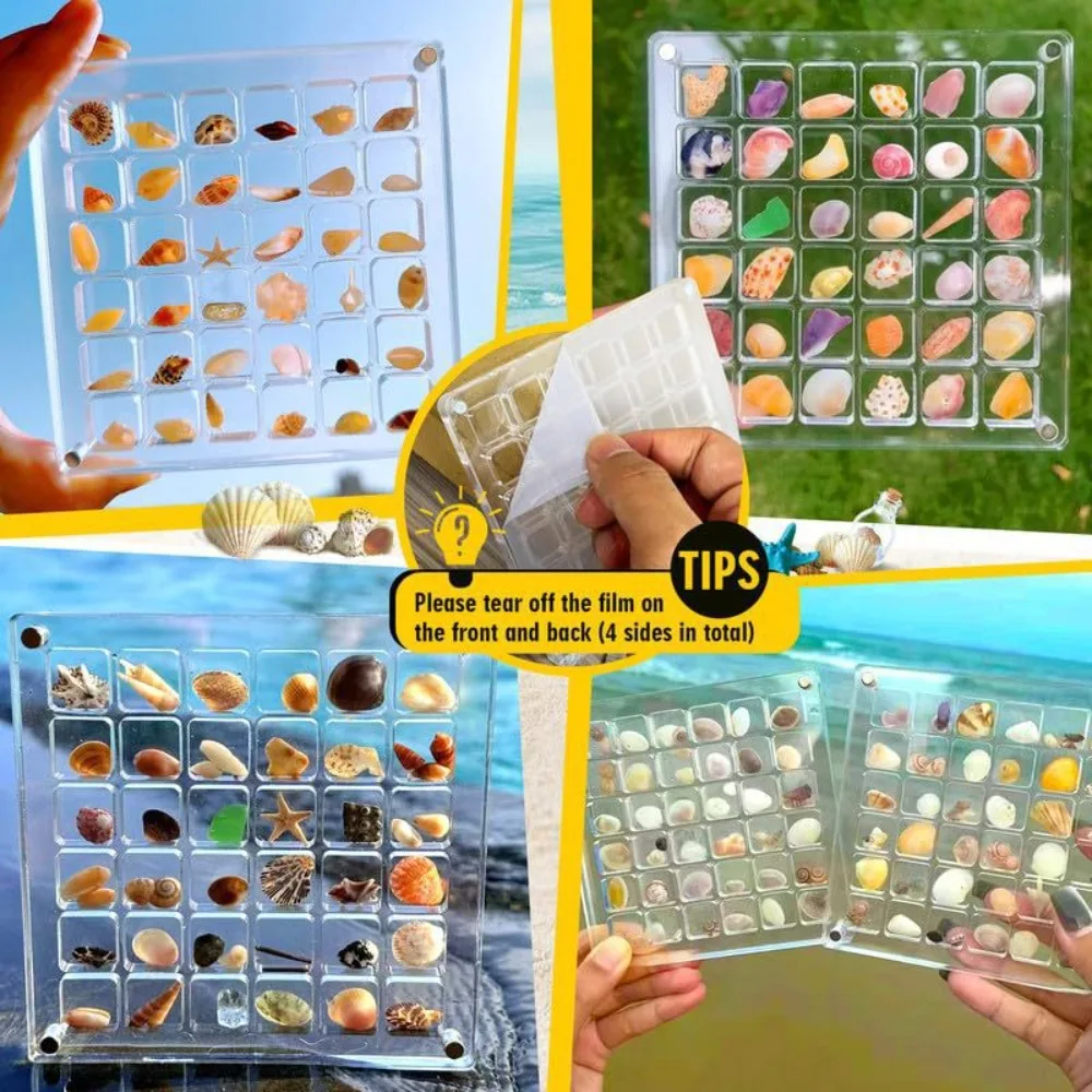 Acrylic Magnetic Seashell Display Box for Craft Storage