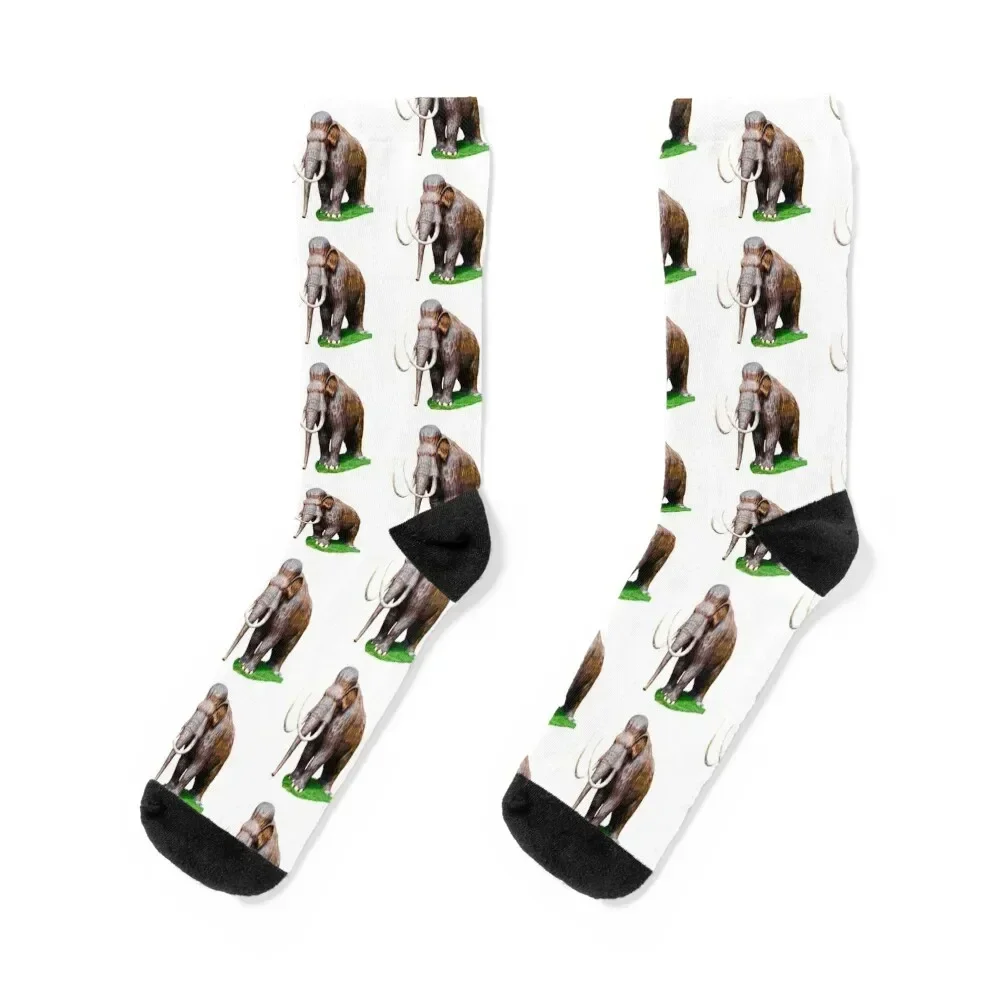 

Mammouth Outstanding in his Field Socks compression Antiskid soccer professional running Girl'S Socks Men's