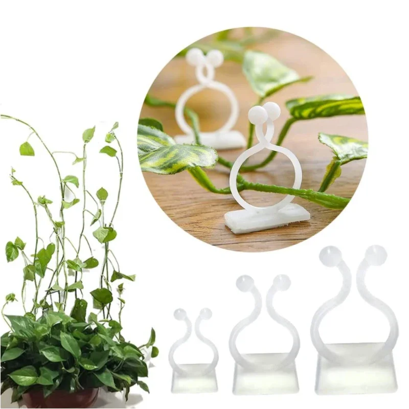 50 stücke ~ 10 stücke Anlage Klettern Wand Halterung Clips Rattan Reben Fixer Selbst-Klebe Haken Unsichtbare Garten Bindung Clip wand StickyClip – Detail 6