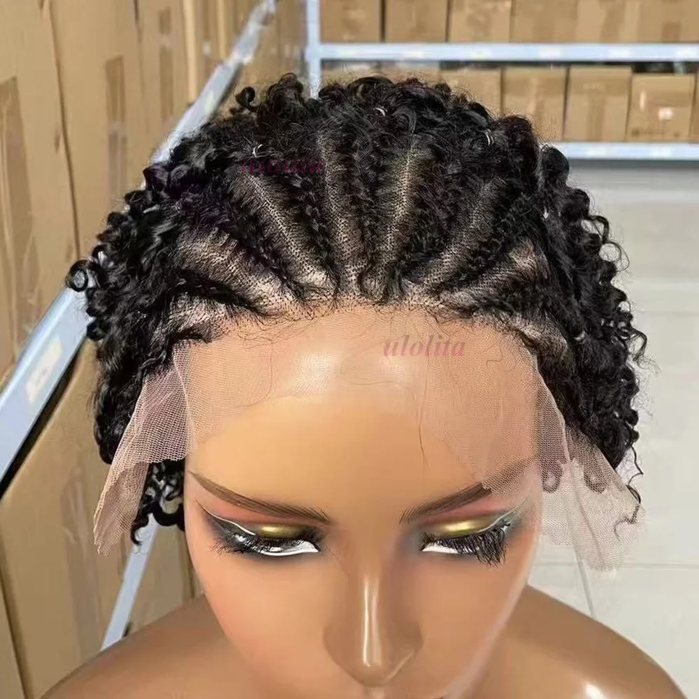 Afro-Lockenperücke 13x4 Lace Frontal 100% Brasilianisches Remy-Haar 6 Zoll Kinky Curly Echthaarperücken mit Zöpfen für Schwarze Frauen – Detail 5
