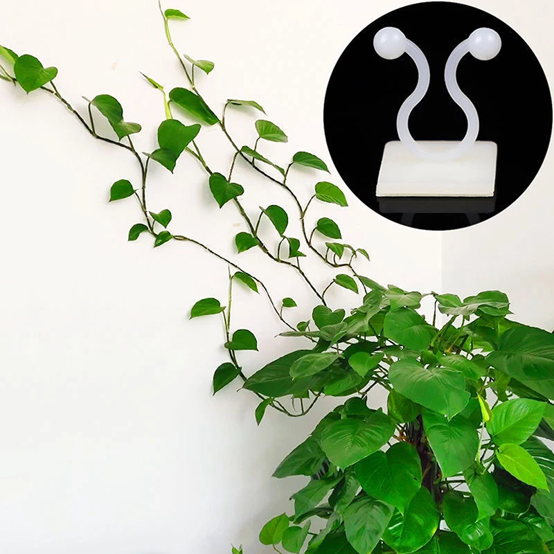 20pcs Home Garden Plant Climbing Wall Fixture Clips Rattan Vine Fixer Self-Adhesive Plant Climbing Wall Fixed Buckle Hook