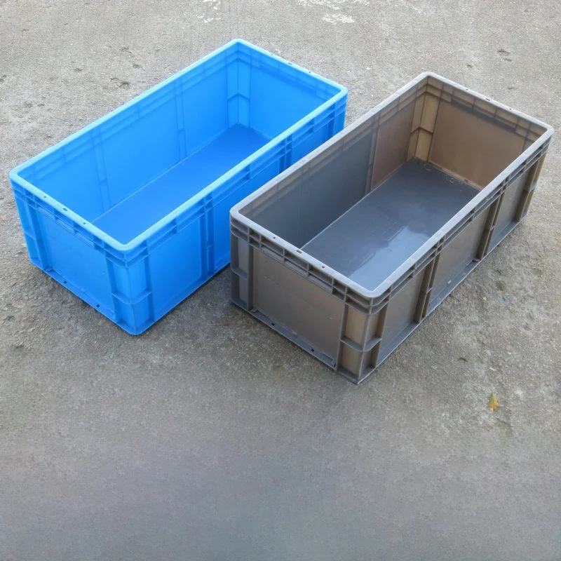 Thiened Ey Plastic …